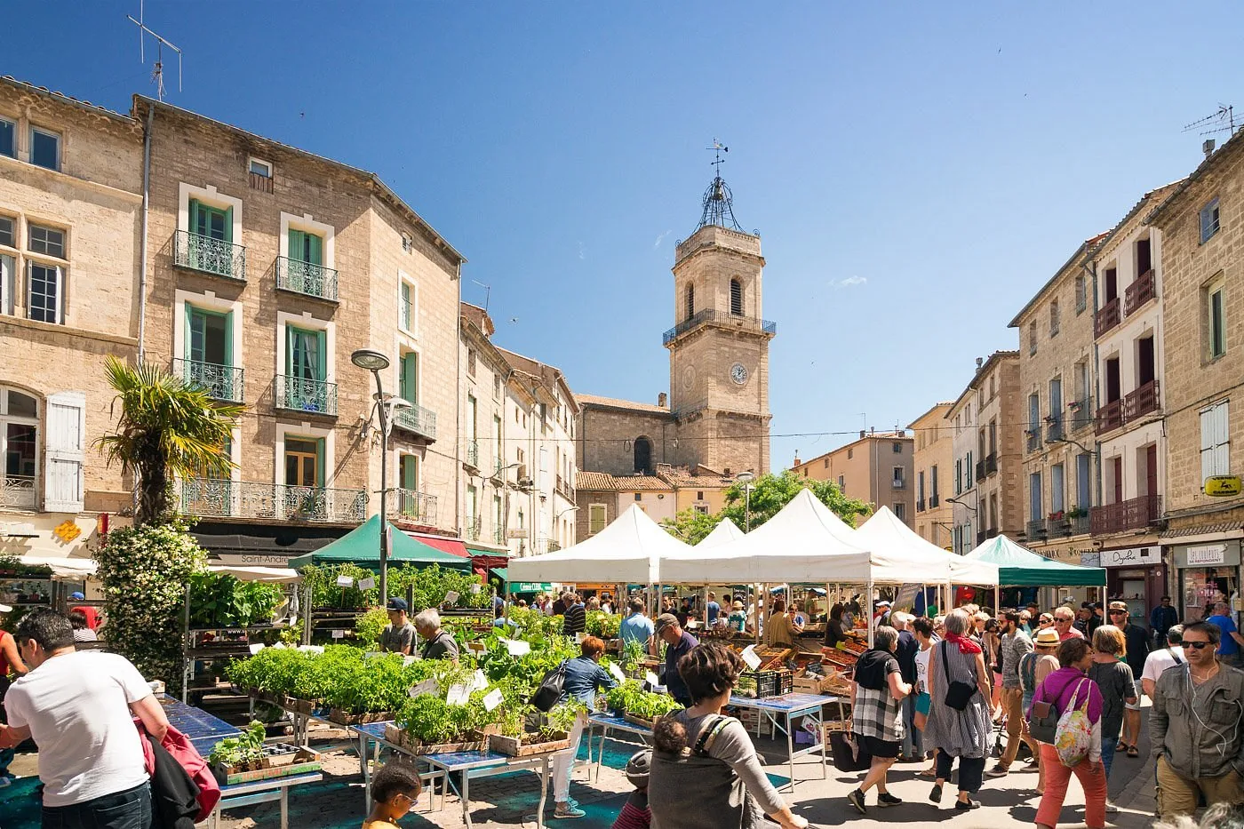 Pézenas et l'archipel de Thau